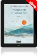 E-book - Frammenti in fermento